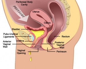 Prostate infection: Causes, symptoms, and treatments
